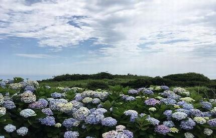 精油spa养生按摩巴厘岛